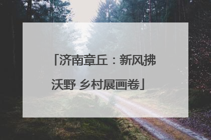 济南章丘：新风拂沃野 乡村展画卷