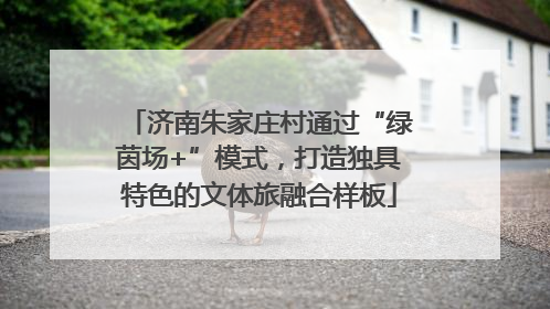 济南朱家庄村通过“绿茵场+”模式，打造独具特色的文体旅融合样板