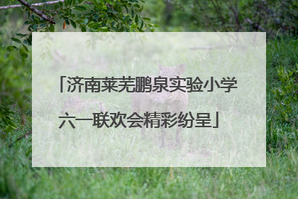 济南莱芜鹏泉实验小学六一联欢会精彩纷呈