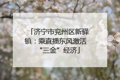济宁市兖州区新驿镇：乘直播东风激活“三金”经济