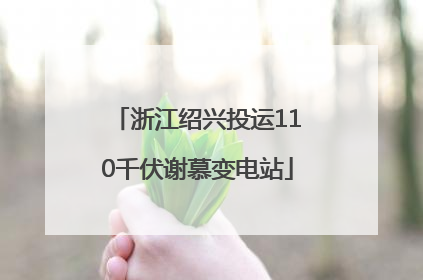 浙江绍兴投运110千伏谢慕变电站