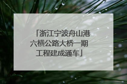 浙江宁波舟山港六横公路大桥一期工程建成通车