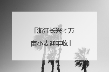 浙江长兴：万亩小麦迎丰收