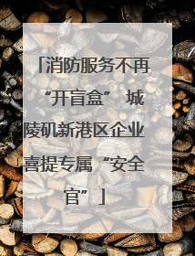 消防服务不再“开盲盒” 城陵矶新港区企业喜提专属“安全官”