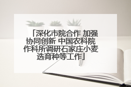 深化市院合作 加强协同创新 中国农科院作科所调研石家庄小麦选育种等工作