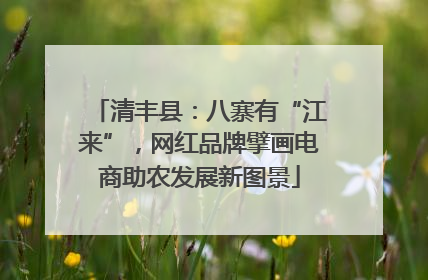 清丰县：八寨有“江来”，网红品牌擘画电商助农发展新图景