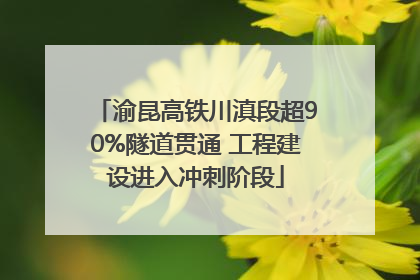 渝昆高铁川滇段超90%隧道贯通 工程建设进入冲刺阶段