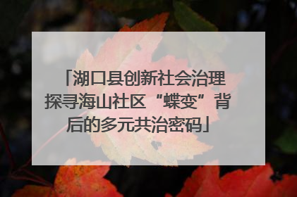 湖口县创新社会治理 探寻海山社区“蝶变”背后的多元共治密码