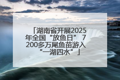 湖南省开展2025年全国“放鱼日” 7200多万尾鱼苗游入“一湖四水”