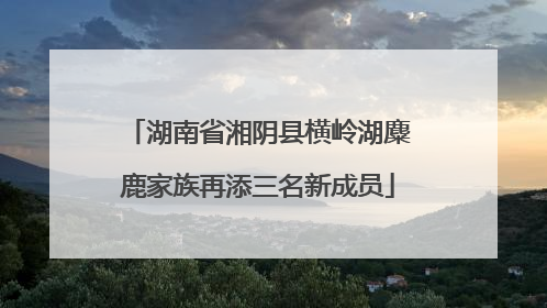 湖南省湘阴县横岭湖麋鹿家族再添三名新成员