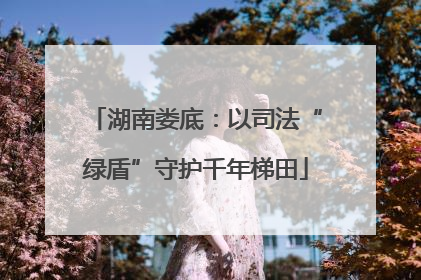 湖南娄底：以司法“绿盾”守护千年梯田
