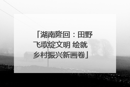 湖南隆回：田野飞歌绽文明 绘就乡村振兴新画卷