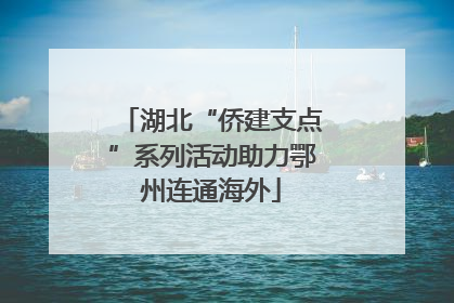 湖北“侨建支点”系列活动助力鄂州连通海外