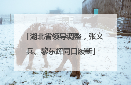 湖北省领导调整，张文兵、黎东辉同日履新