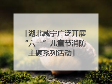 湖北咸宁广泛开展“六一”儿童节消防主题系列活动