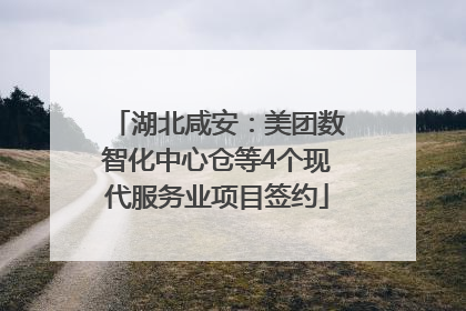 湖北咸安：美团数智化中心仓等4个现代服务业项目签约