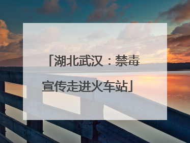 湖北武汉：禁毒宣传走进火车站