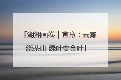 湖湘画卷｜宜章：云雾绕茶山 绿叶变金叶