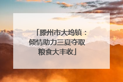 滕州市大坞镇：倾情助力三夏夺取粮食大丰收