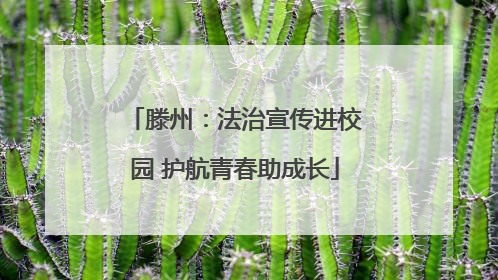 滕州：法治宣传进校园 护航青春助成长