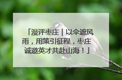 漫评枣庄｜以伞遮风雨，用策引征程，枣庄诚邀英才共赴山海！
