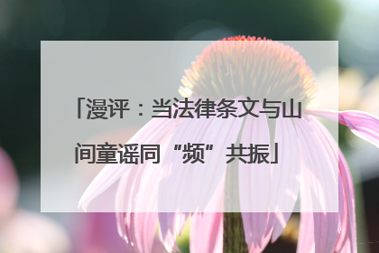 漫评：当法律条文与山间童谣同“频”共振