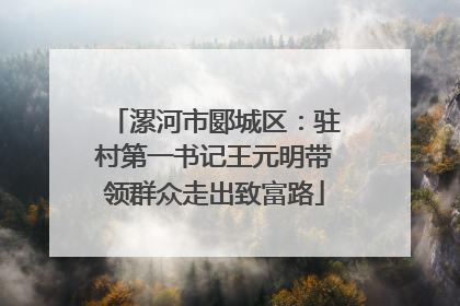 漯河市郾城区：驻村第一书记王元明带领群众走出致富路