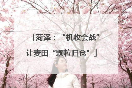 菏泽：“机收会战”让麦田“颗粒归仓”