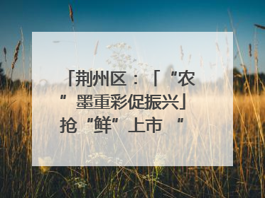 荆州区：「“农”墨重彩促振兴」抢“鲜”上市 “采摘经济”助农“甜蜜增收”