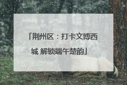 荆州区：打卡文博西城 解锁端午楚韵