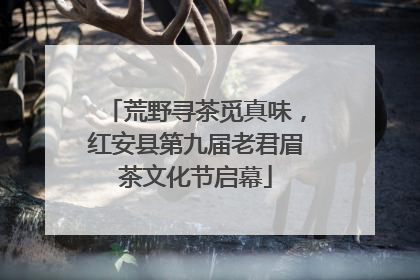 荒野寻茶觅真味，红安县第九届老君眉茶文化节启幕