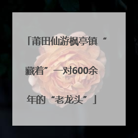 莆田仙游枫亭镇“藏着”一对600余年的“老龙头”