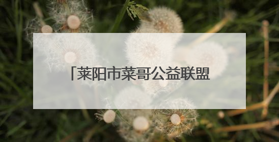 莱阳市菜哥公益联盟为患病村民送爱心款