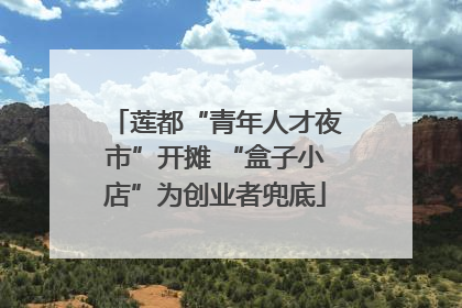莲都“青年人才夜市”开摊 “盒子小店”为创业者兜底