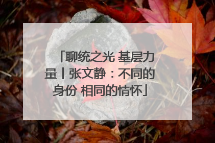 聊统之光 基层力量丨张文静：不同的身份 相同的情怀