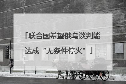 联合国希望俄乌谈判能达成“无条件停火”
