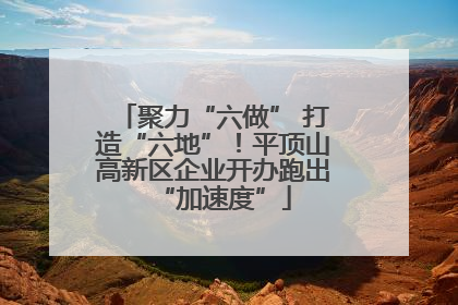聚力“六做” 打造“六地”！平顶山高新区企业开办跑出“加速度”