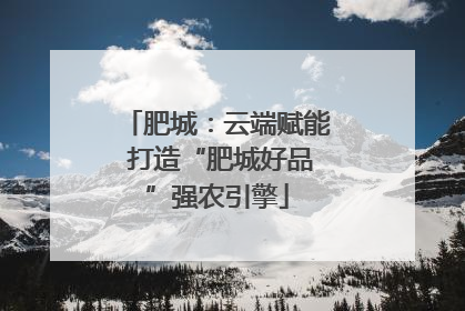 肥城：云端赋能 打造“肥城好品”强农引擎