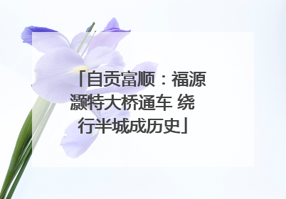 自贡富顺：福源灏特大桥通车 绕行半城成历史
