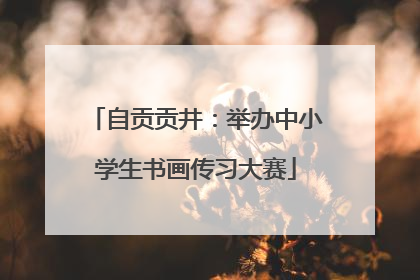 自贡贡井：举办中小学生书画传习大赛