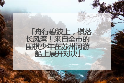 舟行碧波上，棋落长风湾！来自全市的围棋少年在苏州河游船上展开对决