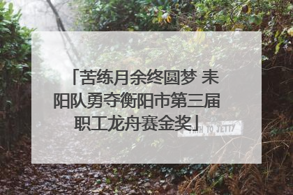 苦练月余终圆梦 耒阳队勇夺衡阳市第三届职工龙舟赛金奖