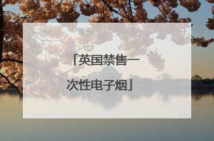 英国禁售一次性电子烟