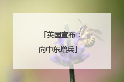 英国宣布：向中东增兵