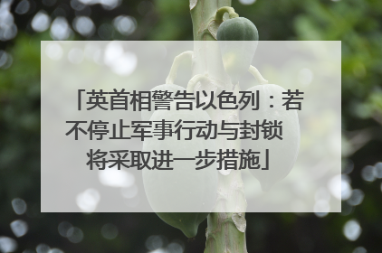 英首相警告以色列：若不停止军事行动与封锁 将采取进一步措施