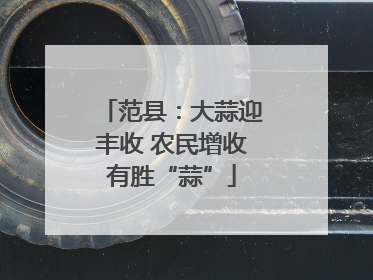 范县：大蒜迎丰收 农民增收有胜“蒜”