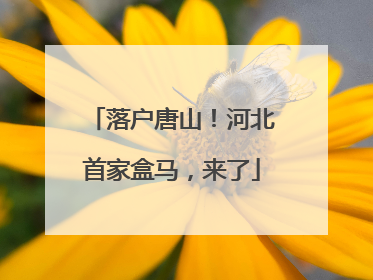 落户唐山！河北首家盒马，来了