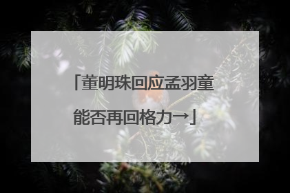 董明珠回应孟羽童能否再回格力→