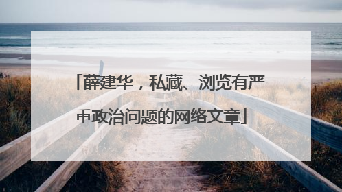 薛建华，私藏、浏览有严重政治问题的网络文章