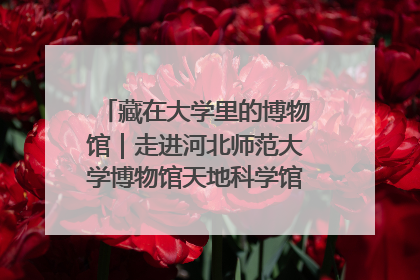 藏在大学里的博物馆｜走进河北师范大学博物馆天地科学馆：在校园里赴一场“宇宙之约”